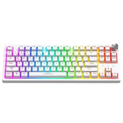 Gameagle Dryo RGB Kablolu TR Layout Mekanik Oyuncu Klavyesi Beyaz