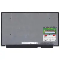MSI GE66 Valhalla 10SE, GE66 Valhalla 10SF Lcd Led Ekran - Panel