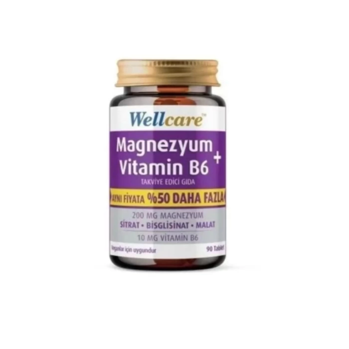 Wellcare Magnezyum B6 Vitamini 90 Tablet