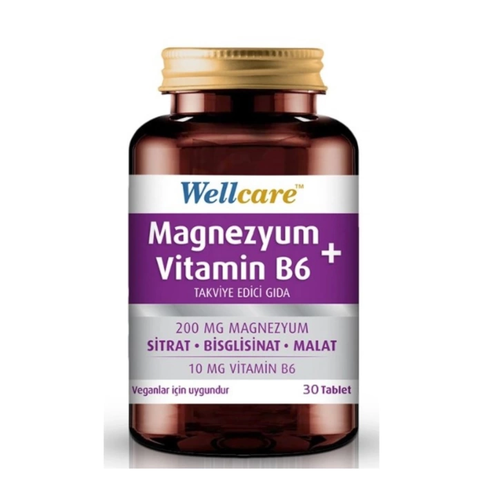 Wellcare Magnezyum Vitamin B6 30 Tablet