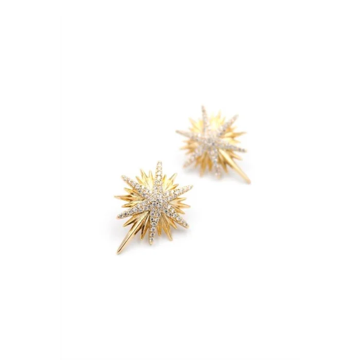 Kuzey Yıldızı Küpe - Rose