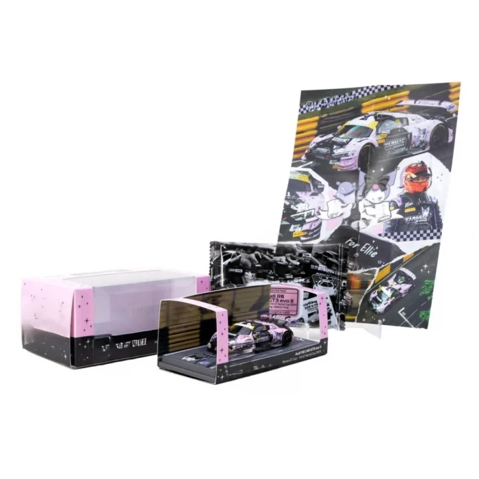 Mey İthalat® 1/64 MODEL ARAÇ R8 LMS GT3 evo II Macau GT Cup - FIA GT World Cup 2024 #10 with Tarmac Cards Combo Set