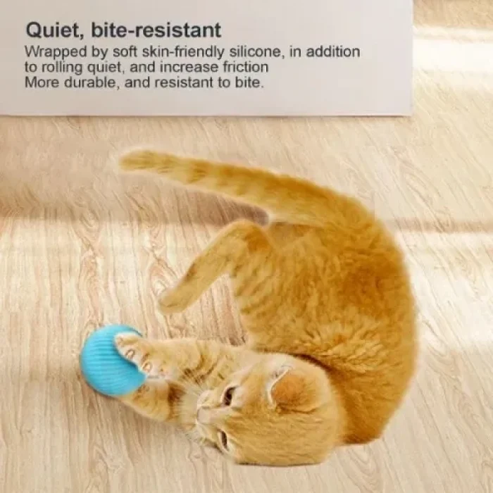 Mey İthalat® İnteraktif Kedi Köpek Şarjlı Oyun Topu