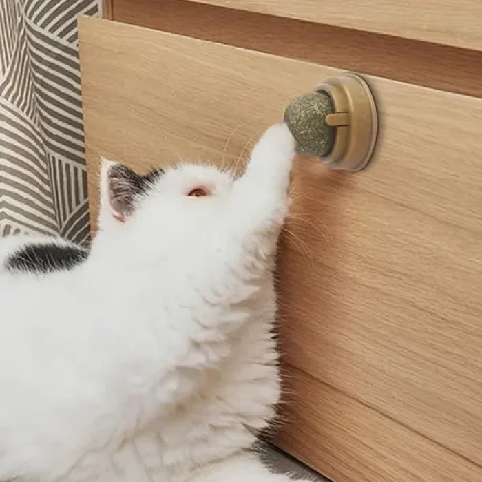 Mey İthalat® Kedi Nanesi Oyun Topu