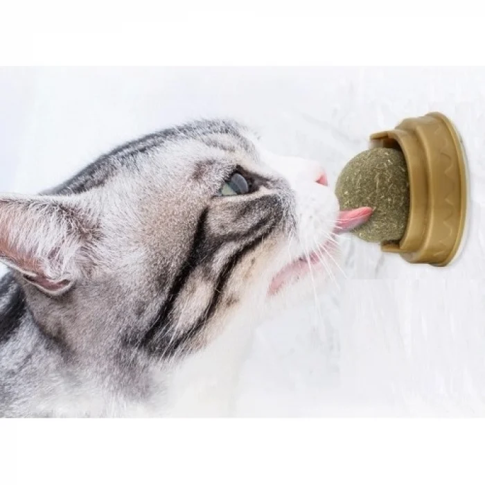 Mey İthalat® Kedi Otu Oyun Topu Cat Mint