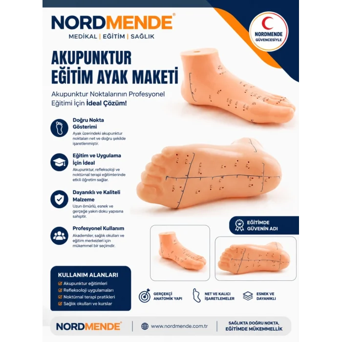 Mey İthalat® NORDMENDE Akupunktur Eğitim Ayak Maketi Anatomik Refleksoloji Nokta Gösterim Modeli Eğitim Maketi