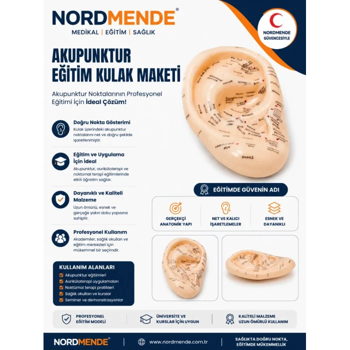 Mey İthalat® NORDMENDE Akupunktur Eğitim Kulak Maketi Auriküloterapi Nokta Gösterim Anatomik Eğitim Modeli