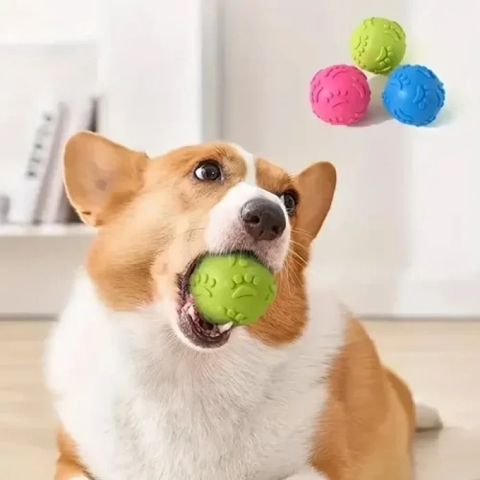 Mey İthalat® Pati Desenli Dayanıklı Köpek Isırma Topu