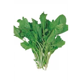 Tere Tohumu 10 Gr