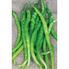 Acı Kıl Biber Tohumu 10 Gr