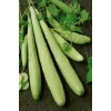 Acur Tohumu 10 Gr