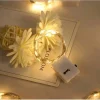 Mey İthalat® 2m Pilli Peri Led RGB