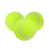 Mey İthalat® 3lü Köpek Oyun Tenis Topu