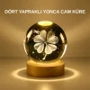 Mey İthalat® Dekoratif Yonca Görünümlü Işıklı Kristal Cam Küre USB Masa Gece Lambası