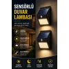 Mey İthalat® DP-53 DUVAR LAMBASI