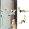 Mey İthalat® İnteraktif Kartal Kedi Oyuncağı