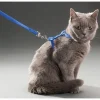 Mey İthalat® Kedi Boyun ve Göğüs Tasması