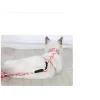 Mey İthalat® Kedi Gezdirme Göğüs Tasması
