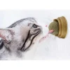 Mey İthalat® Kedi Nanesi (Catnip) Oyun Topu