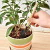 Mey İthalat® Mini Kazma, Kürek ve Tırmık Seti