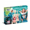 Mey İthalat® Süper Anatomi