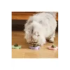 Mey İthalat® Yengeç Kedi Otu Oyun Topu