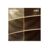 Naturals Saç Boyası Altın Kestane 5/73