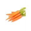 Sarı Havuç Tohumu 10 Gr