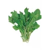 Tere Tohumu 10 Gr