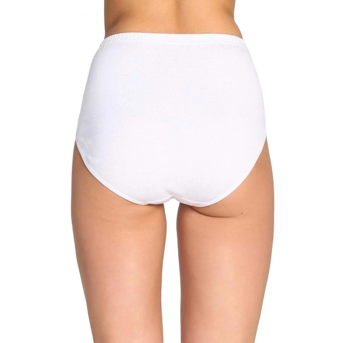 3 Adet Tutku Kadın Yüksek Bel Bato Kalın Lastik Külot S5