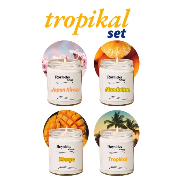 4 Adet Doğal Özel Seri Kokulu Dekoratif Kavanoz Mum 4X210 cc - Tropikal Set - RYL