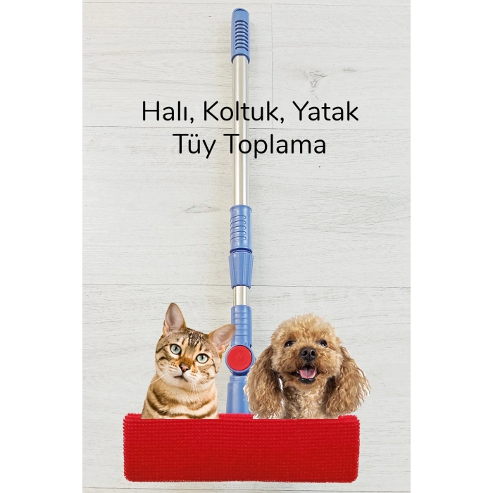 Kedi Köpek Sihirli Tüy Temizleme Fırçası 4 ü 1 Arada Döner Başlıklı