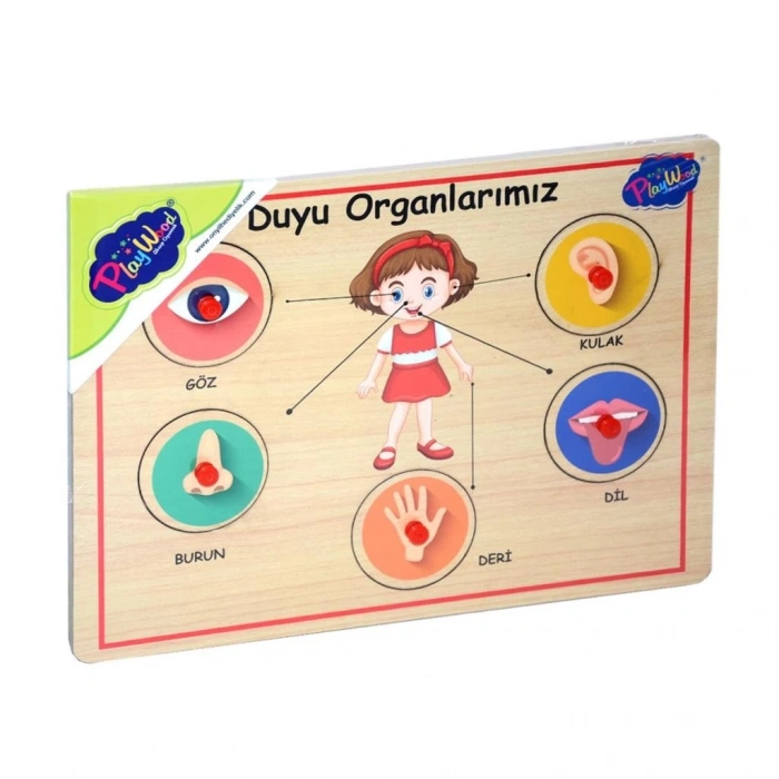Mey İthalat® 166/167 Onyıl, Ahşap Tutmalı Organlar