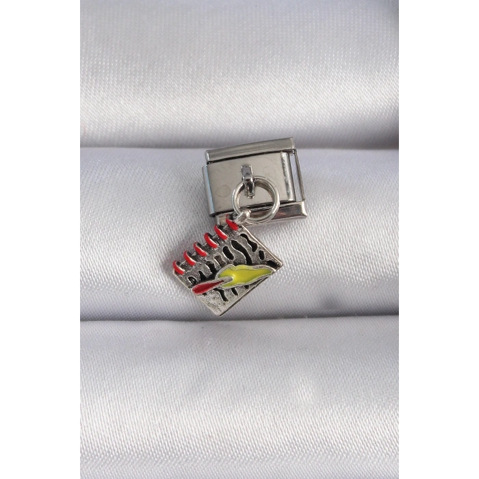 Mey İthalat® 316L Çelik Gümüş Renk Sallantı Defter Figür Nomination Charm