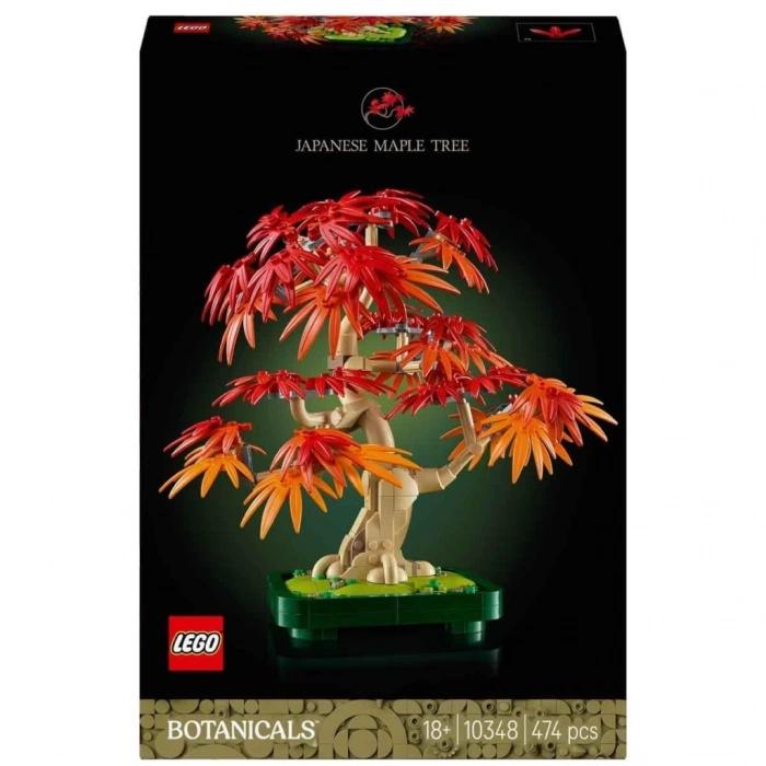 Mey İthalat® Botanicals Japon Kırmızı Akçaağaç Bonsai Ağacı 10348