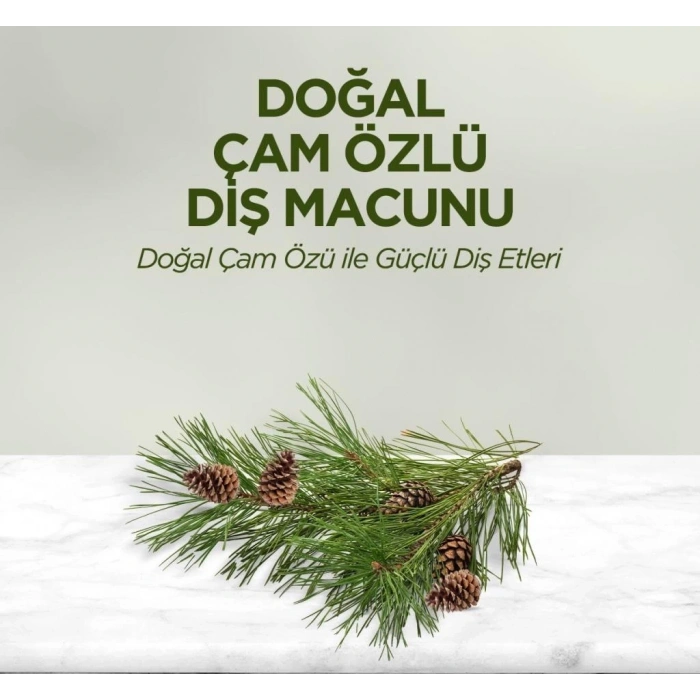 Mey İthalat®   Doğal Diş Macunu 90 Gr Çam Özlü