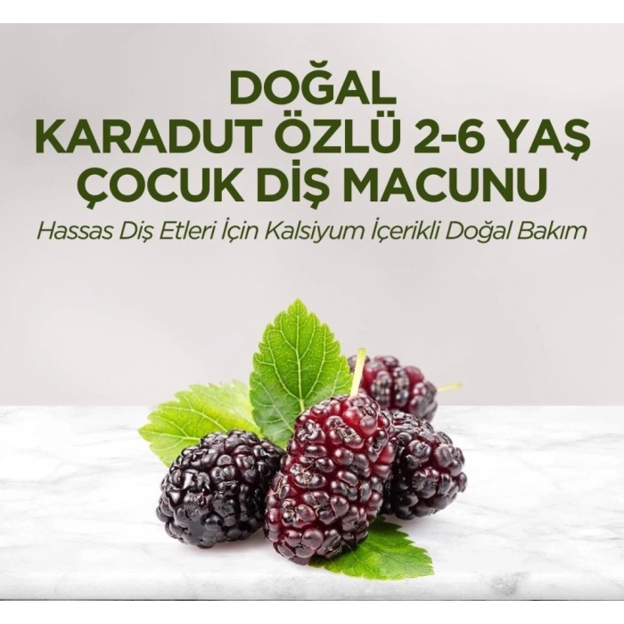 Mey İthalat®   Doğal Karadut Özlü Diş Macunu 2-6 Yaş 60 ml