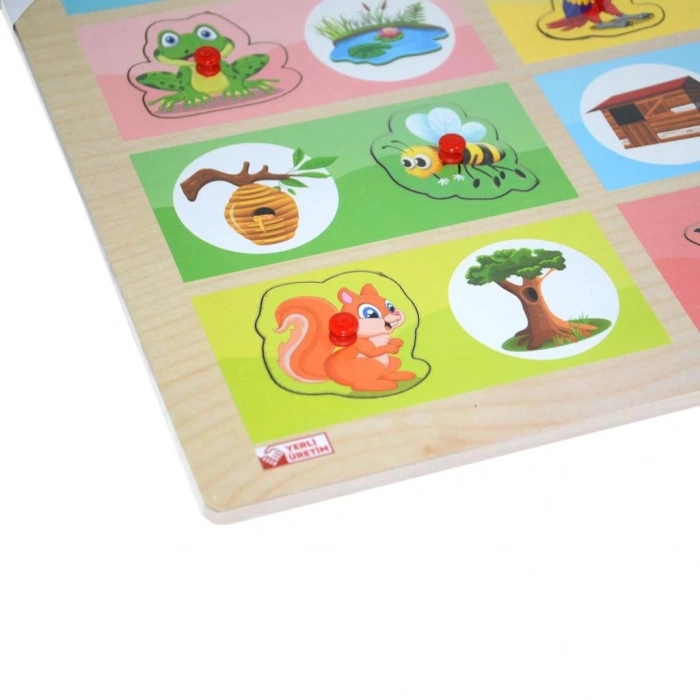 Mey İthalat® ONY-363-364 Ahşap Tutmalı Eşleştirme Hangi Hayvan Nerede Yaşar