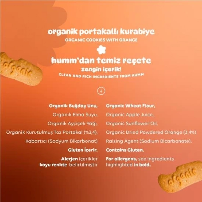 Mey İthalat® Organik Vegan Portakallı Kurabiye 55 Gr