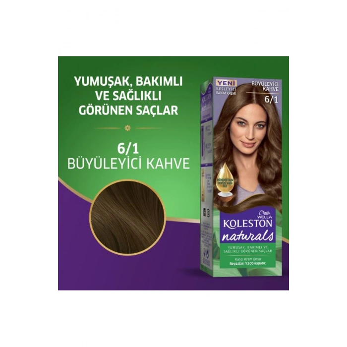 Naturals Saç Boyası Büyüleyici Kahve 6/1