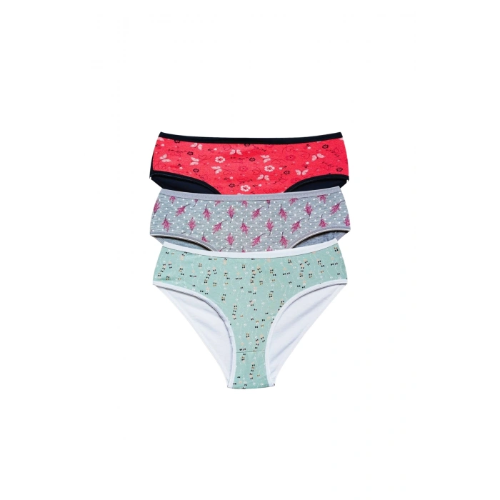 Pamuklu Geniş Kenarlı Likralı Desenli Bato Kadın Külot 3lü Paket Set1