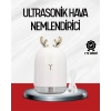 Mey İthalat® El Tipi USB Mini Soğuk Mist Nemlendirici 220 ml Tank