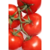 Domates Tohumu Falcon 5 Gr