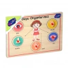 Mey İthalat® 166/167 Onyıl, Ahşap Tutmalı Organlar