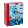 Mey İthalat® Bilim Seti : İnsan İskeleti