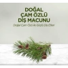 Mey İthalat®   Doğal Diş Macunu 90 Gr Çam Özlü