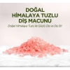 Mey İthalat®   Doğal Diş Macunu 90 Gr Himalaya Tuzlu