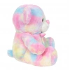 Mey İthalat®  Gökkuşağı Renkli Peluş Ayı 45 cm