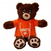 Mey İthalat® Kapşonlu Peluş Ayı 30 cm.