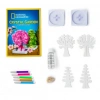 Mey İthalat® Natgeo Kristal Bitki Kiti
